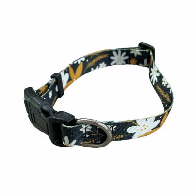 Image of Recycled PET Dog Collar